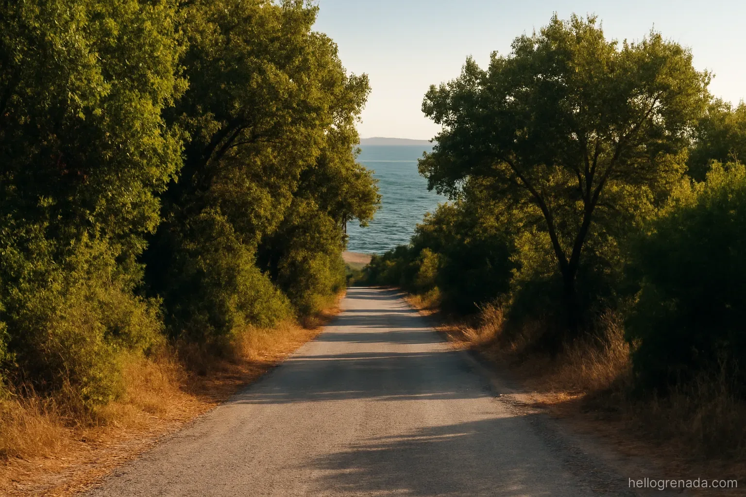 The day trip nobody plans: following a recommendation