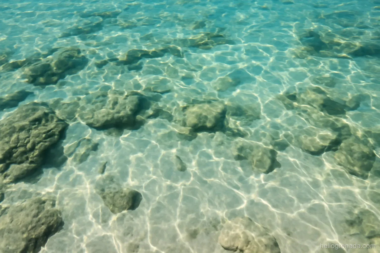 Under the water: snorkelling from the shore and what you will see
